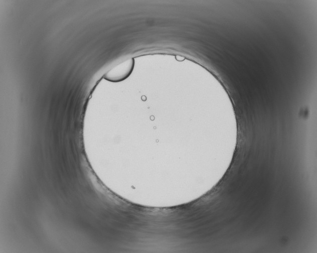 X0000114021534200911131215