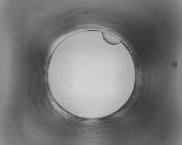 X0000114021535200911131215