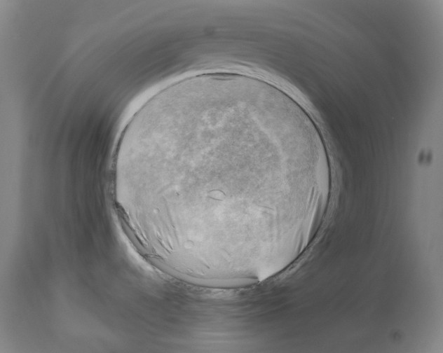 X0000114021536200911131215