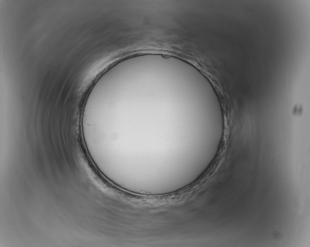 X0000114030005200910021052