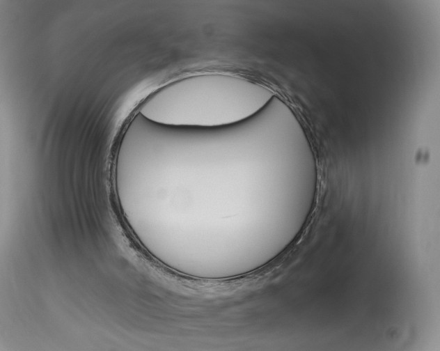 X0000114030006200910021052