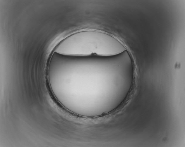 X0000114030007200910021052
