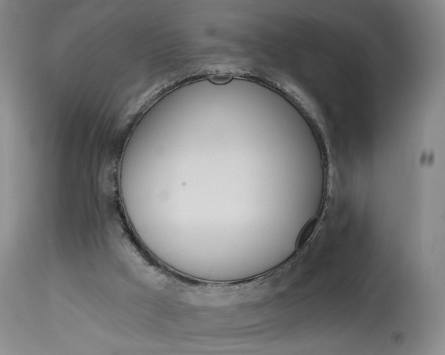 X0000114030009200910021052