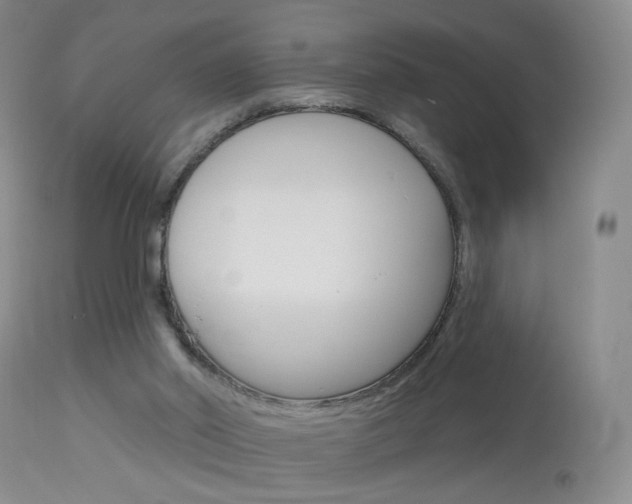 X0000114030014200910021052
