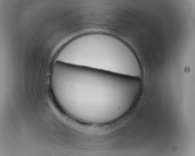 X0000114030016200910021052