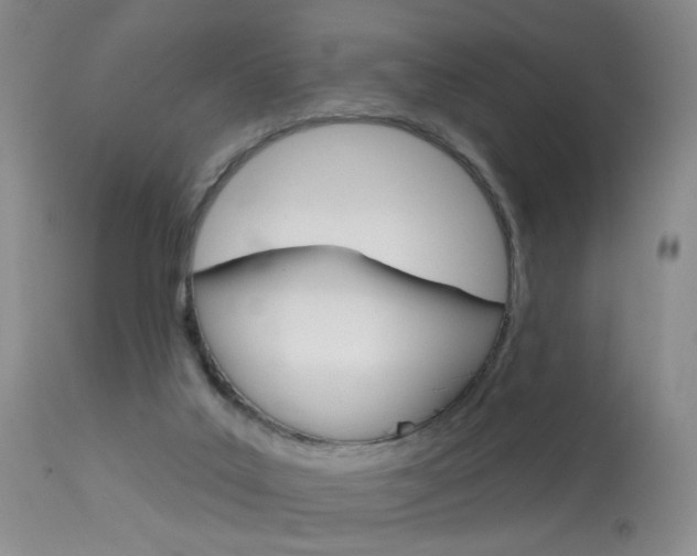 X0000114030019200910021052