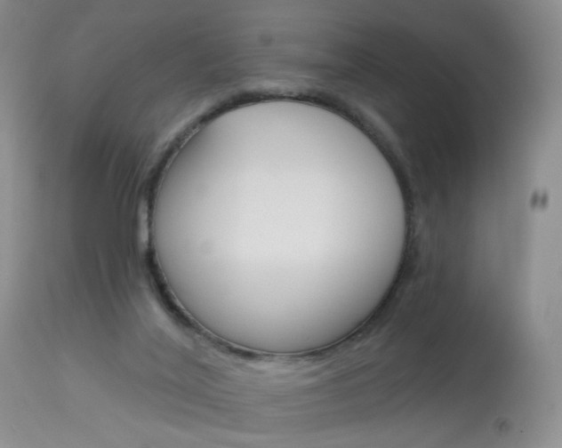 X0000114030020200910021052