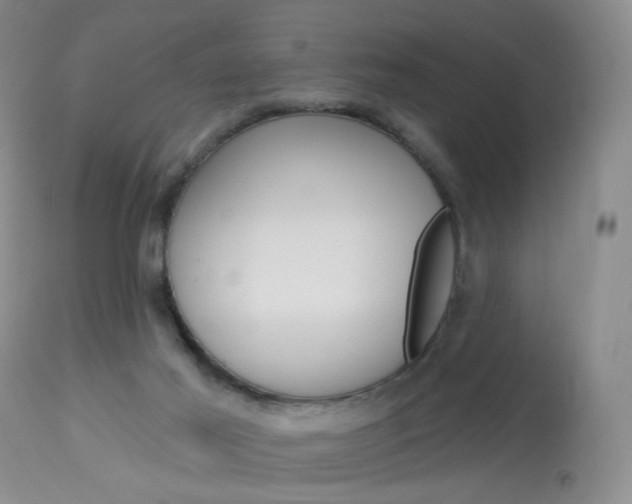 X0000114030021200910021052