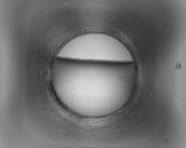X0000114030025200910021052