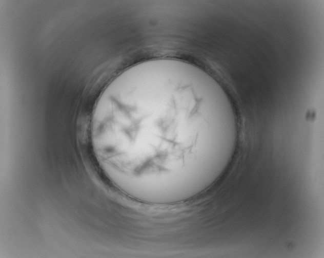 X0000114030026200910021052