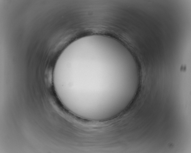 X0000114030028200910021052