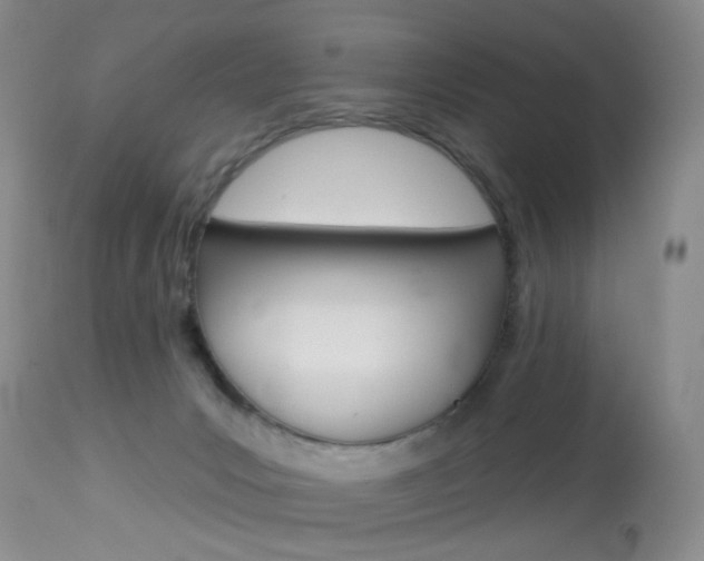 X0000114030031200910021052