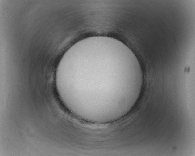 X0000114030032200910021052