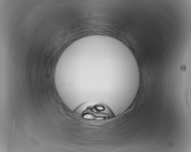 X0000114030033200910021052