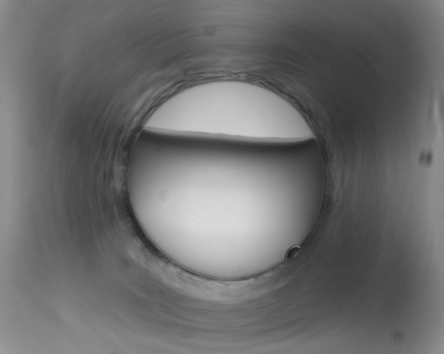 X0000114030035200910021052