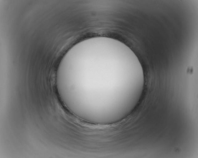 X0000114030036200910021052