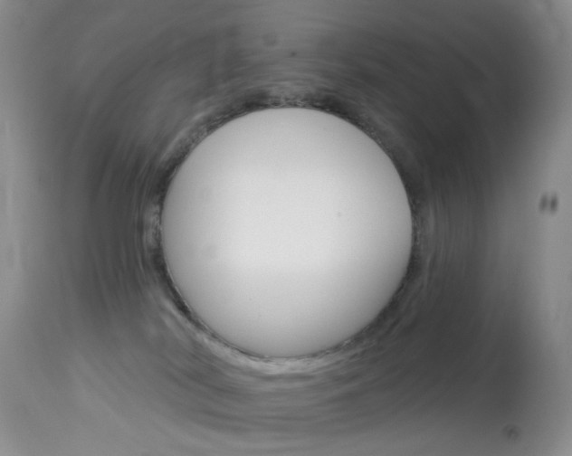 X0000114030038200910021052