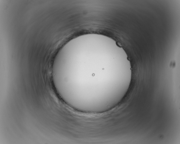 X0000114030040200910021052