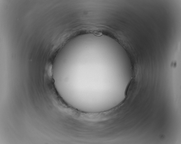 X0000114030041200910021052
