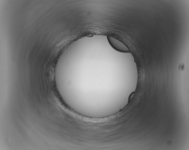 X0000114030043200910021052
