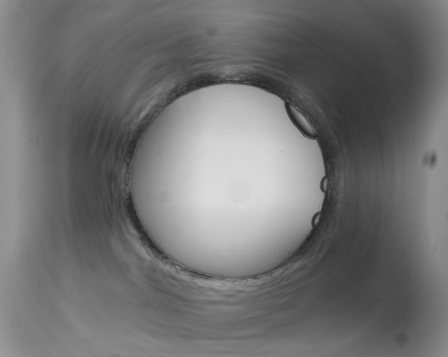 X0000114030044200910021052