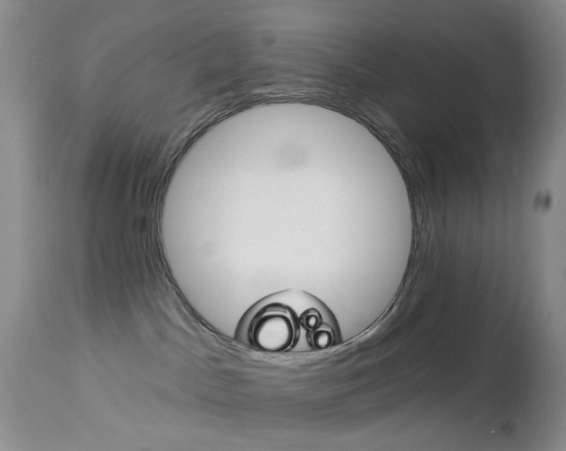 X0000114030045200910021052