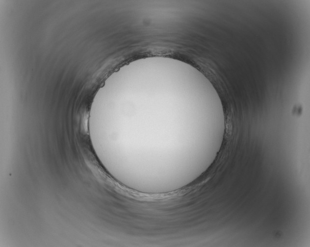 X0000114030046200910021052