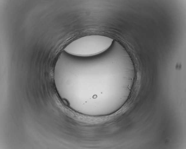 X0000114030048200910021052
