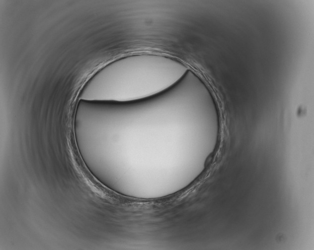 X0000114030049200910021051