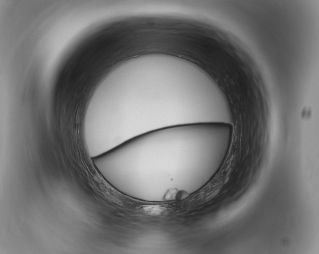 X0000114030050200910021051