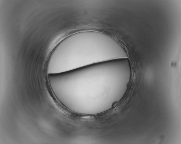 X0000114030053200910021051