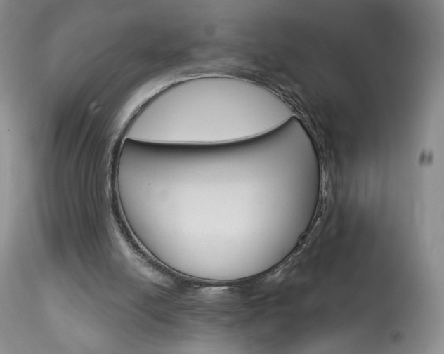 X0000114030054200910021051