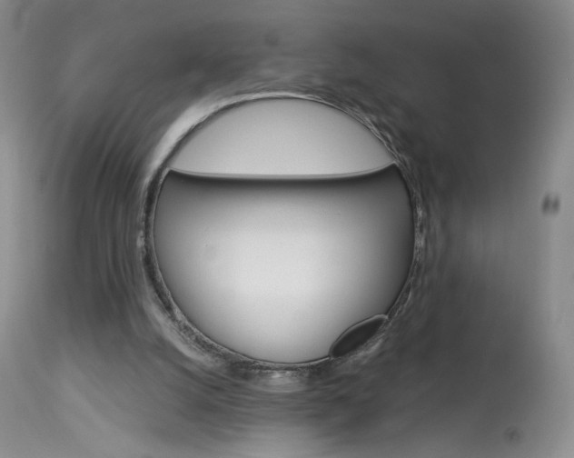 X0000114030056200910021051
