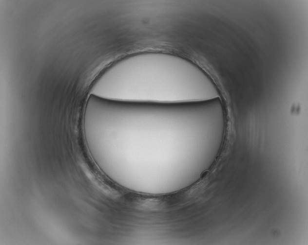 X0000114030058200910021051