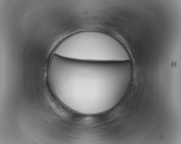 X0000114030059200910021051