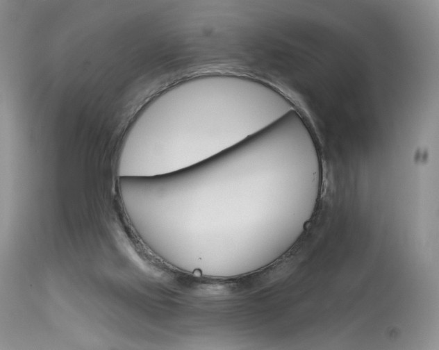 X0000114030061200910021051