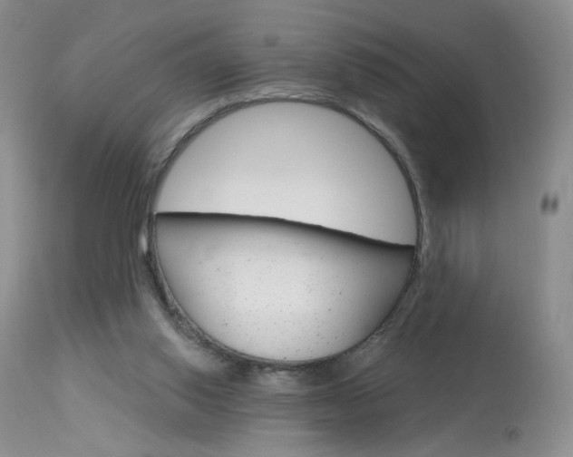 X0000114030062200910021051