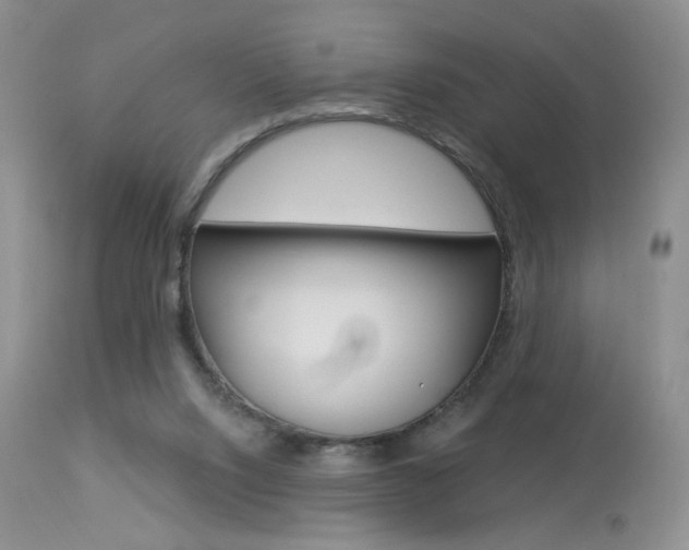 X0000114030064200910021051
