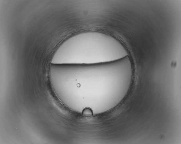 X0000114030065200910021051