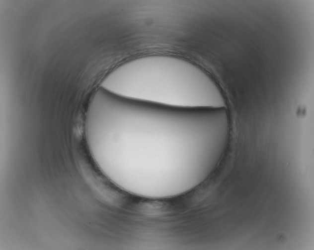 X0000114030069200910021051