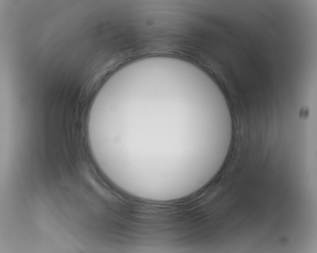 X0000114030072200910021051