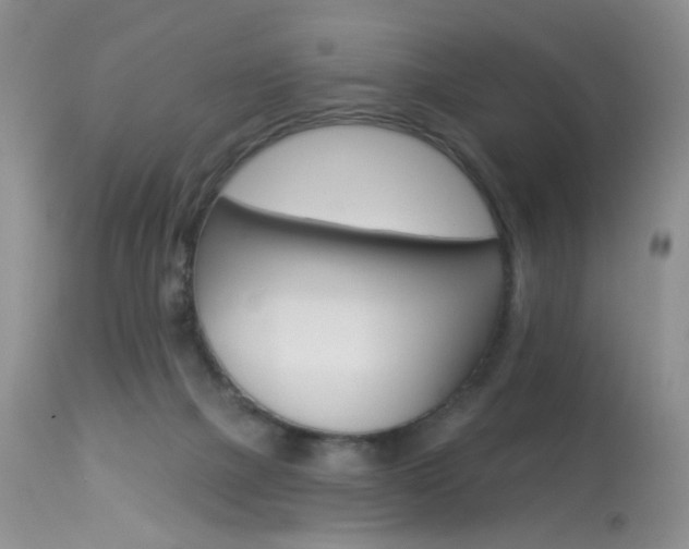 X0000114030073200910021051