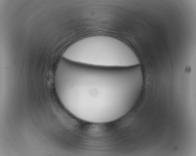 X0000114030077200910021051