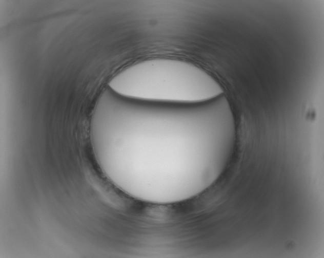 X0000114030079200910021051