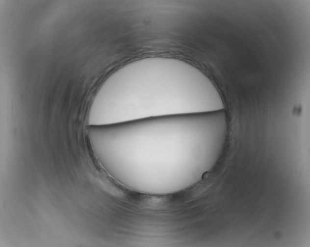 X0000114030081200910021051