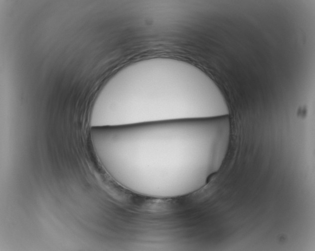 X0000114030082200910021051