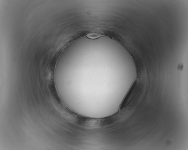 X0000114030084200910021051