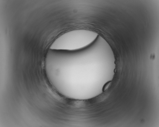 X0000114030085200910021051