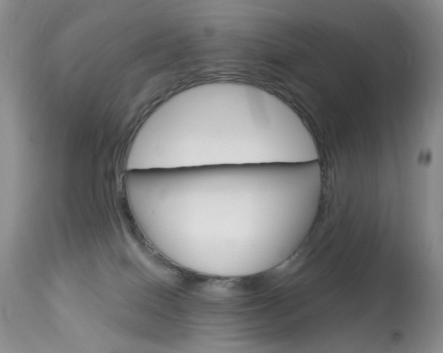 X0000114030086200910021051