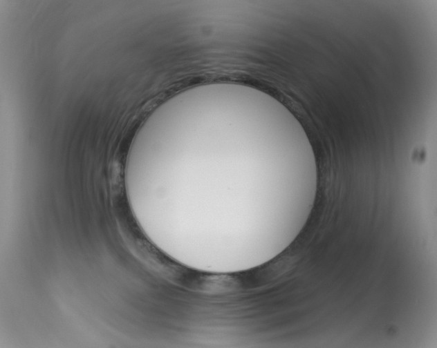 X0000114030087200910021051